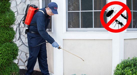Sarıveliler Akrep İlaçlama böcek ilaçlama ve haşere kontrolü — ilaclama-tr.com